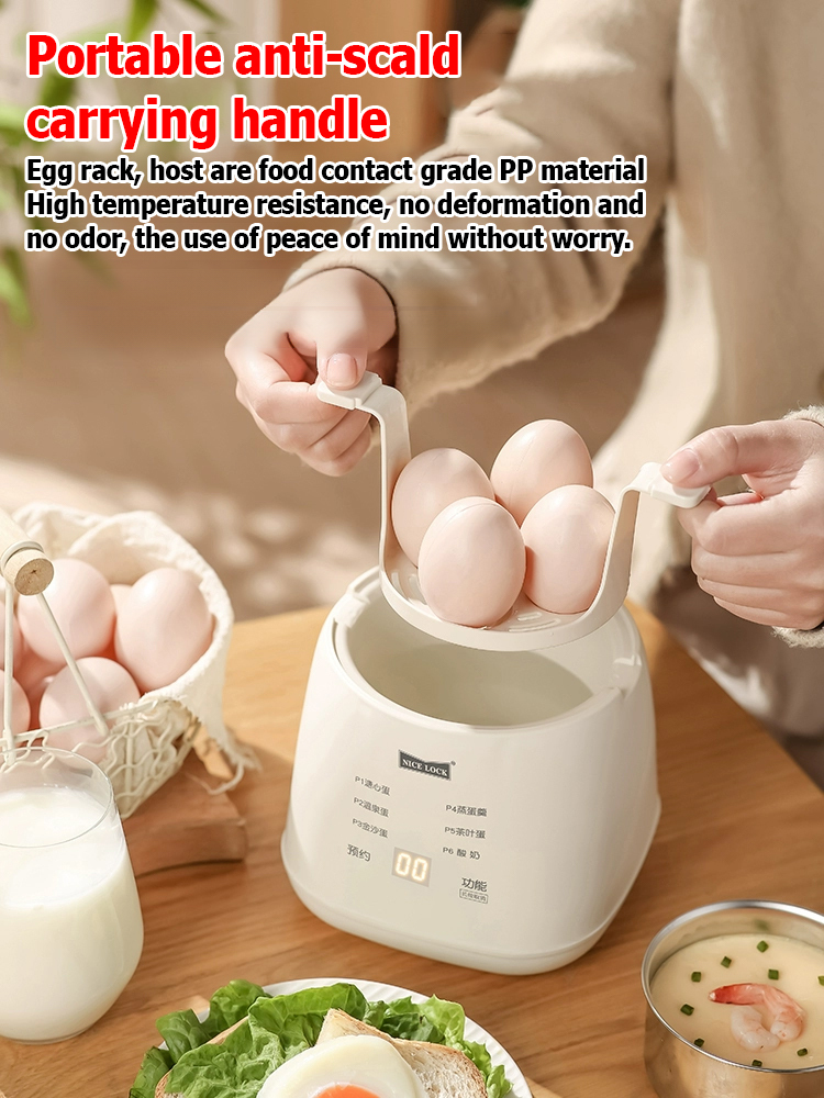 110V multifunctional egg steamer