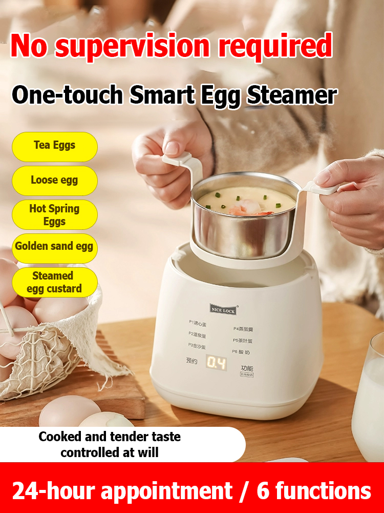 110V multifunctional egg steamer