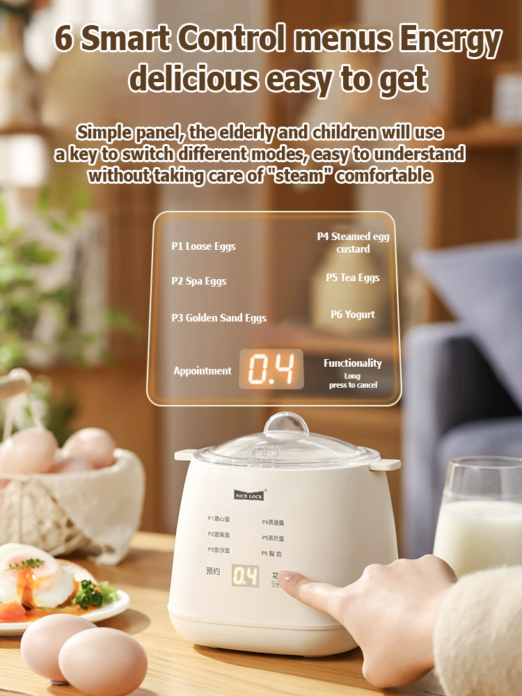 110V multifunctional egg steamer
