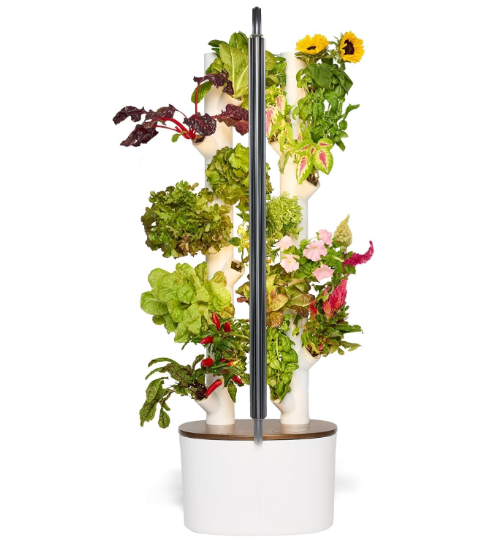 Gardyn Studio Hydroponics Growing System Kit & Vertical Indoor Garden Planter | Smart Herb Garden | Includes 16 Non-GMO Indoor Plants, Herbs, Vegetables & LED Grow Light for Your Home Gardening System