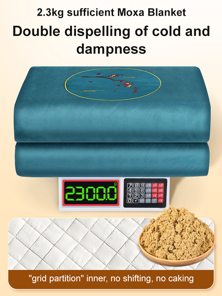 Moxa Hot Compress Therapy Blanket