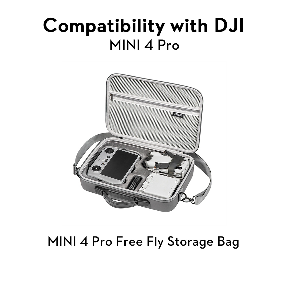 Mini 4 Pro Free Fly Storage Bag?Freebies Only?
