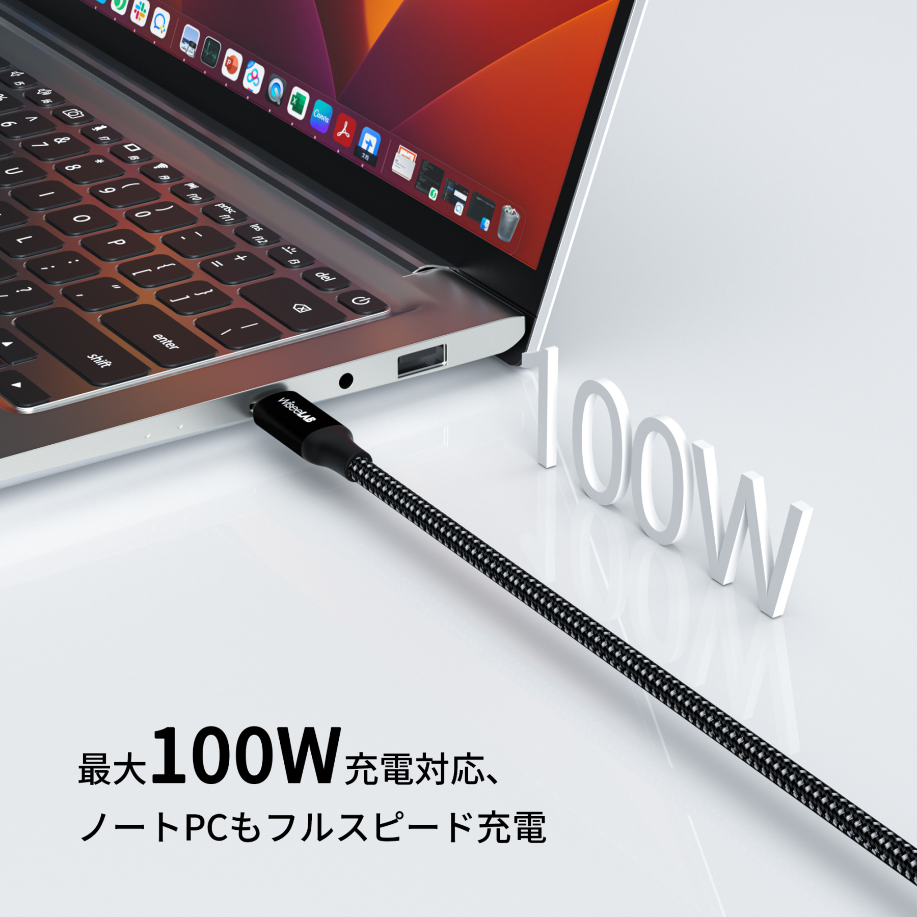 WiseeLAB USB-C & USB-C ケーブル(1.2m,100W,ナイロン編み)
