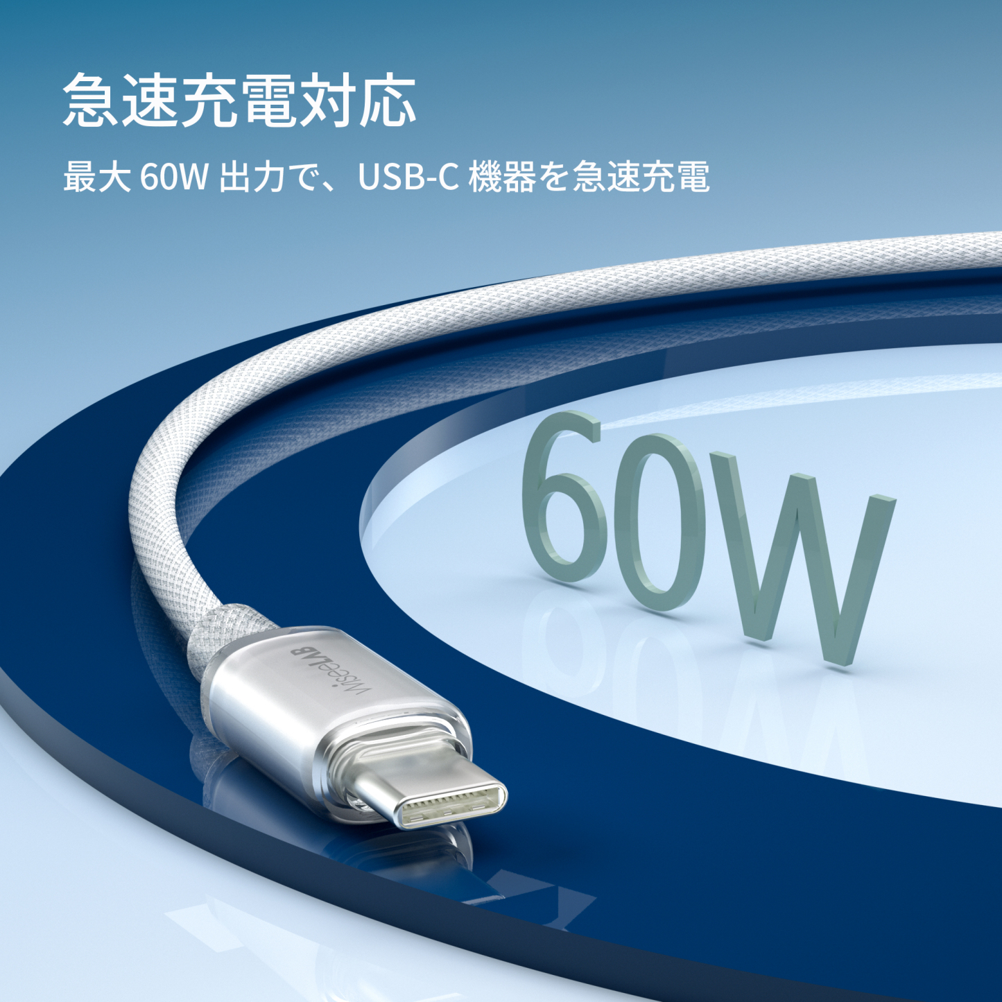 WiseeLAB Clear Tough Cable｜USB-C & USB-C 保護カバー付き ケーブル(1.2m,ナイロン編み)