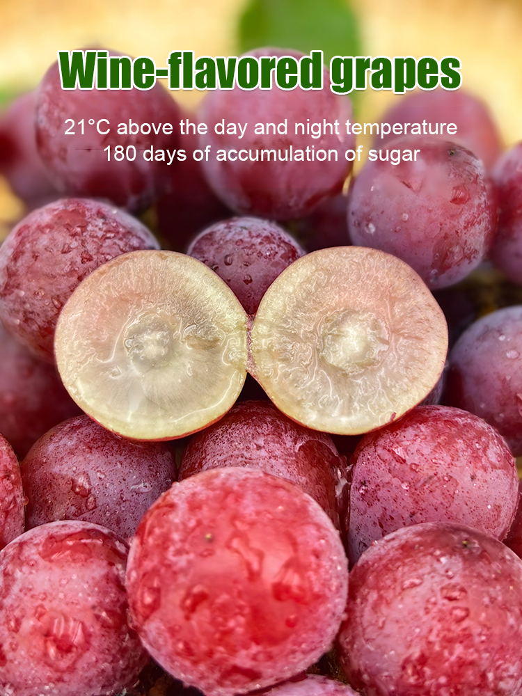 One grape seedling can produce 100 kg of grapes❗️❗️😍😍