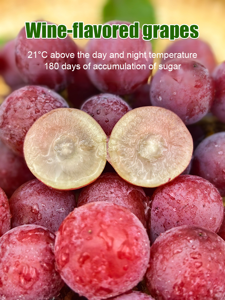 One grape seedling can produce 100 kg of grapes❗️❗️😍😍