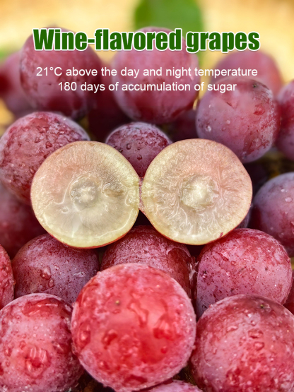One grape seedling can produce 100 kg of grapes❗️❗️😍😍