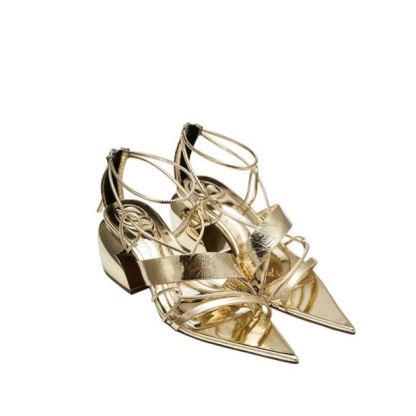 Pointed Toe Chunky Heels