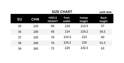 Pointed Toe Chunky Heels