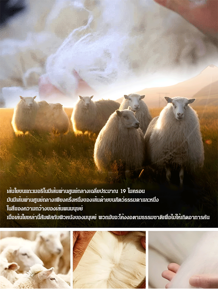 เสื้อสเวตเตอร์แขนยาวหรูหรา