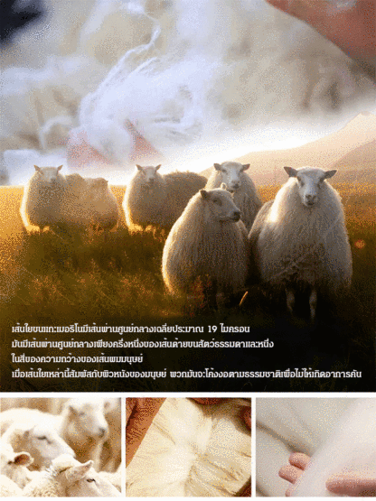 เสื้อสเวตเตอร์แขนยาวหรูหรา