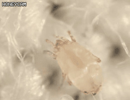 Honeycam 2024-10-07 17-32-19.gif