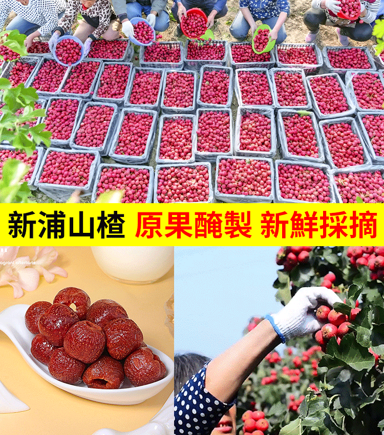 特級無核空心山楂