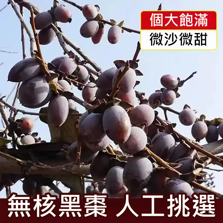 【當季新貨】野生無核黑棗