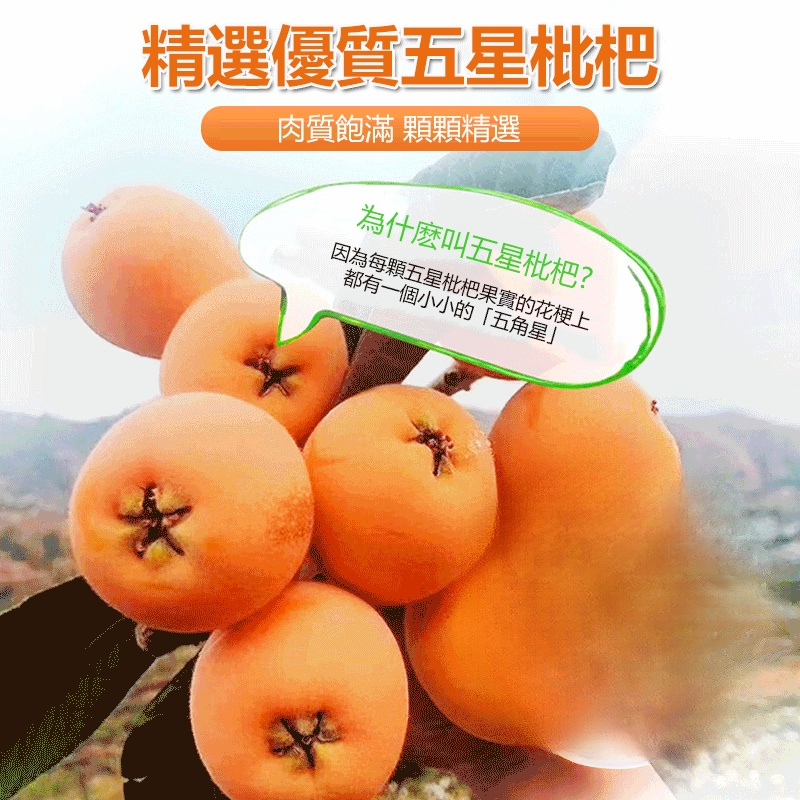 竹蜂鹽枇杷果干