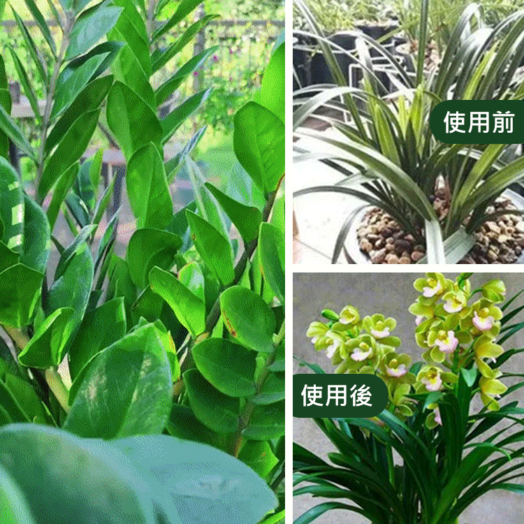 【懶人養花神器】植物緩釋營養棒