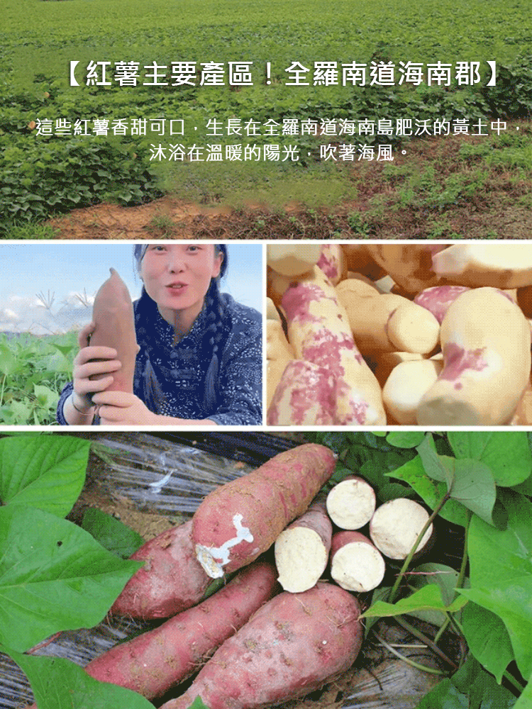 帶皮紅薯乾軟糯香甜