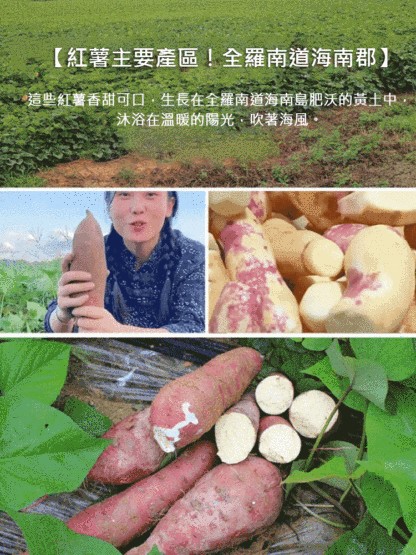 帶皮紅薯乾軟糯香甜