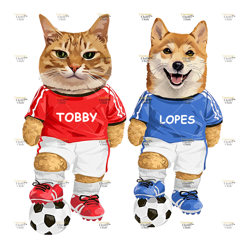 カスタムフワモコ部  プレミアムTシャツ  2人制サッカー  2頭デザイン 0510-1-2