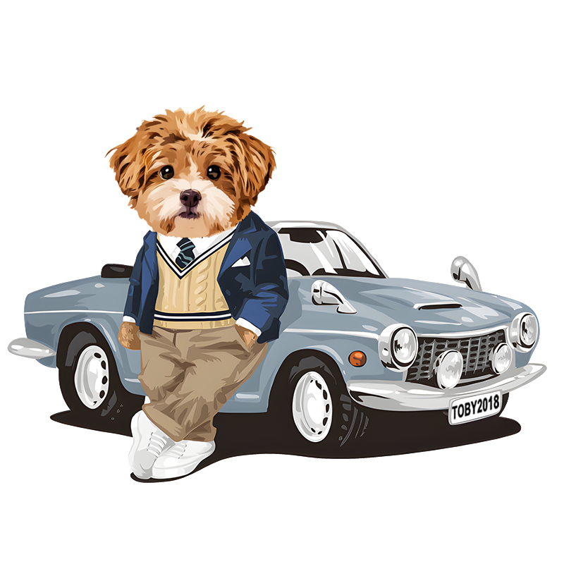 Car and Motor Collection