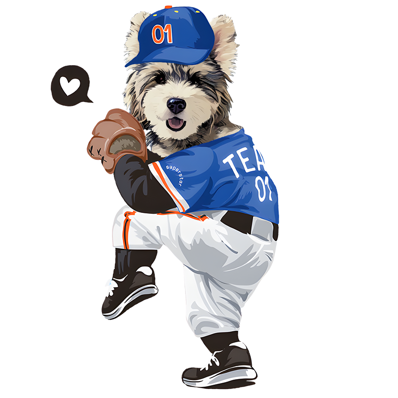 Sports and Hobbies Collection