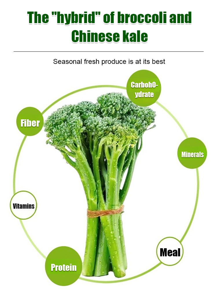 Organic broccoli seeds