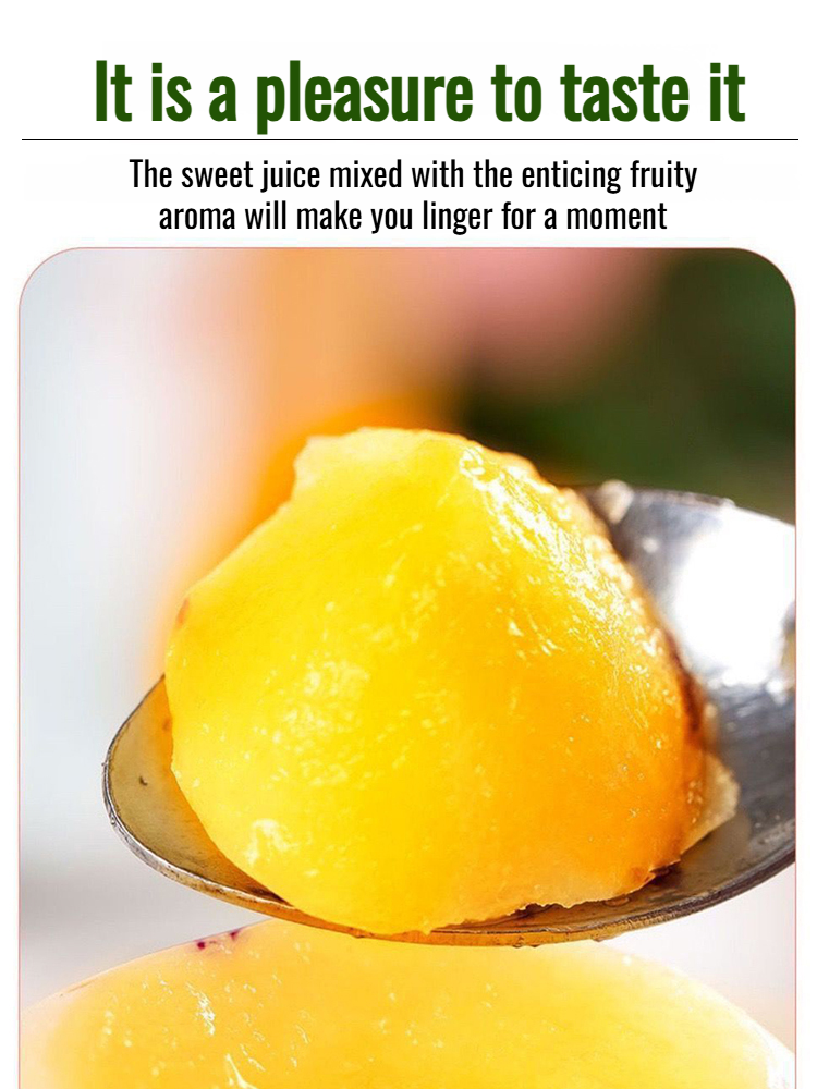 Ginseng potted plants