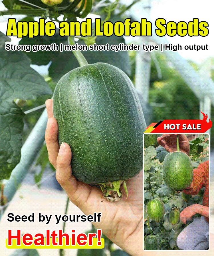 Apple loofah seeds
