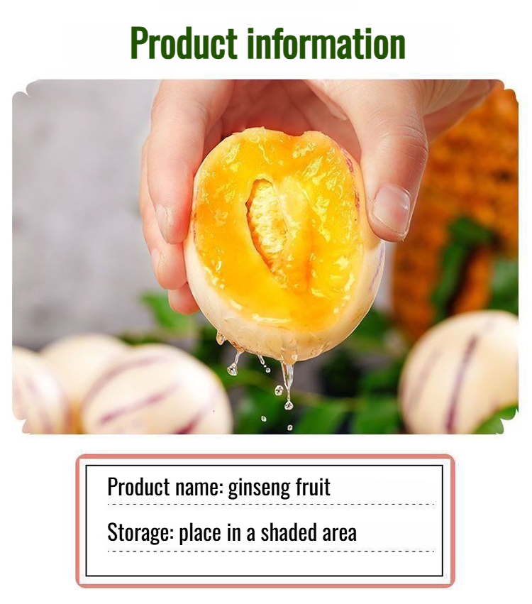 Ginseng potted plants