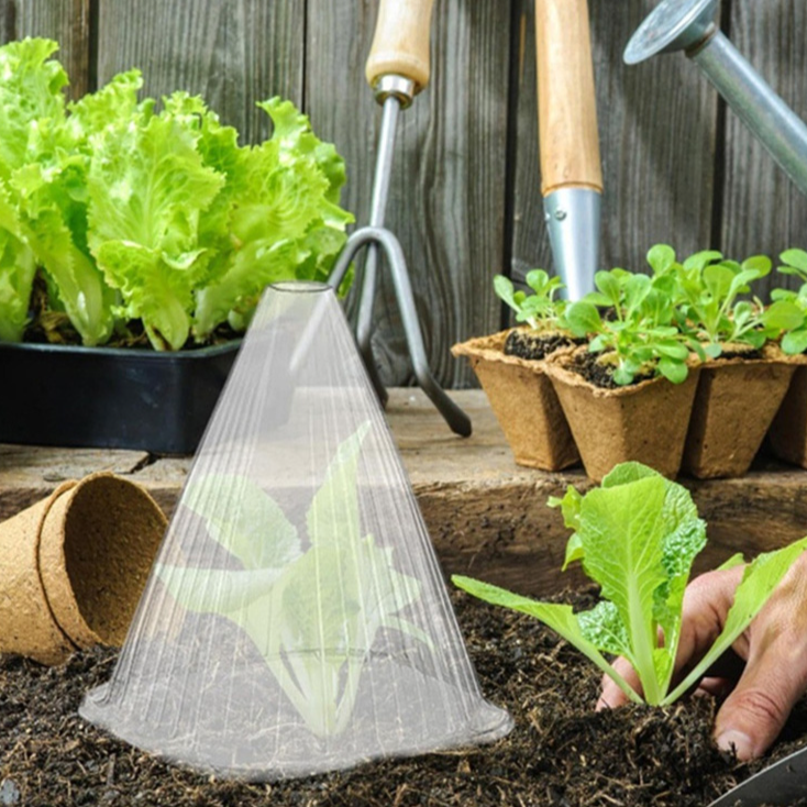 Transparent Plant Cover