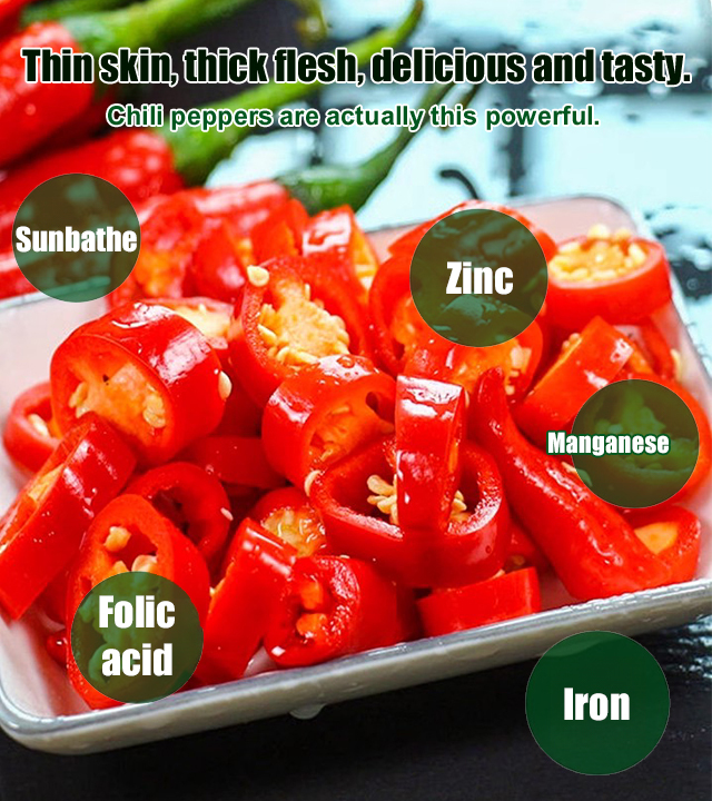 Spicy and Rich Four Seasons Beauty Pepper Seeds