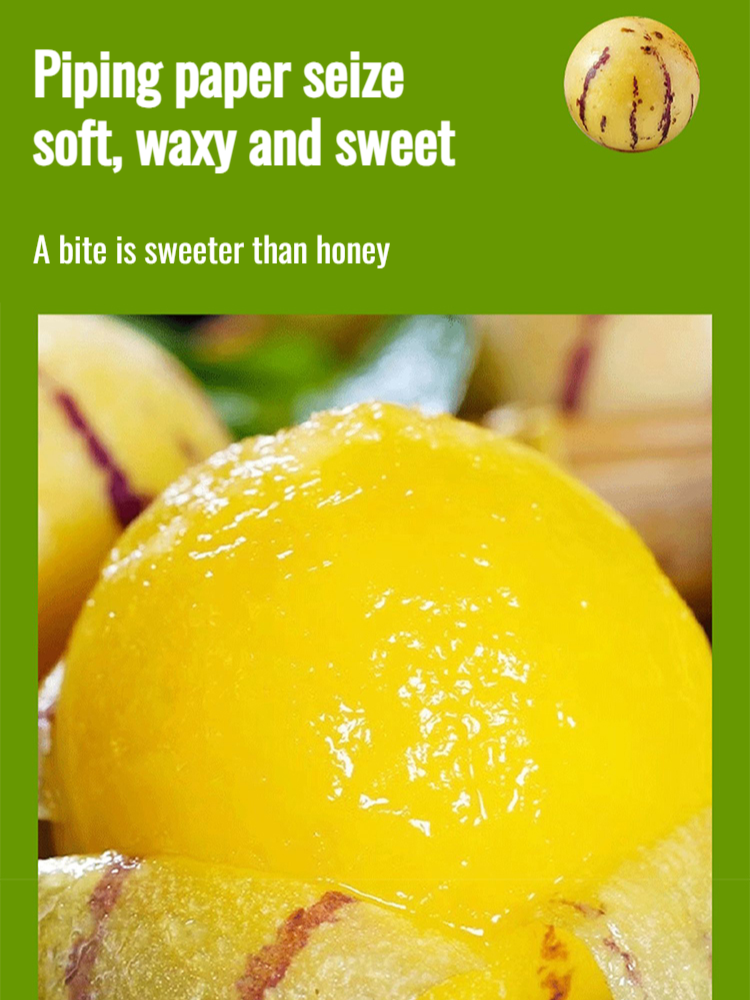 Ginseng potted plants