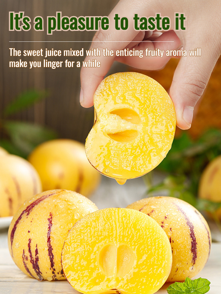 Ginseng potted plants