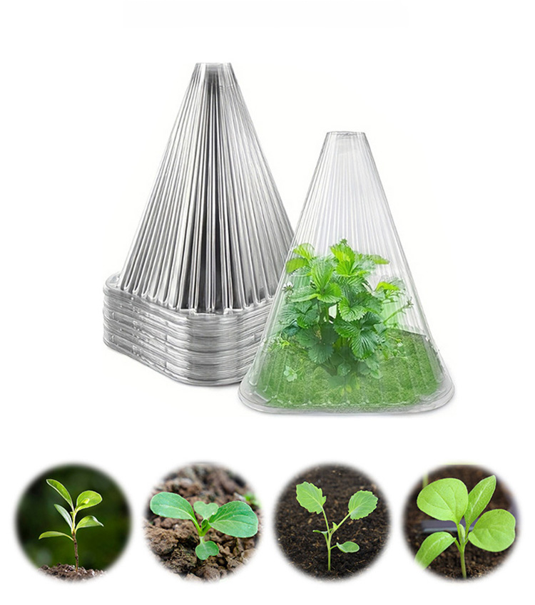 Transparent Plant Cover