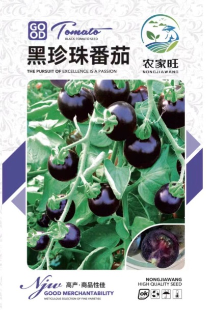 [King of Anthocyanins] Antioxidant Black Pearl Tomato Seedling