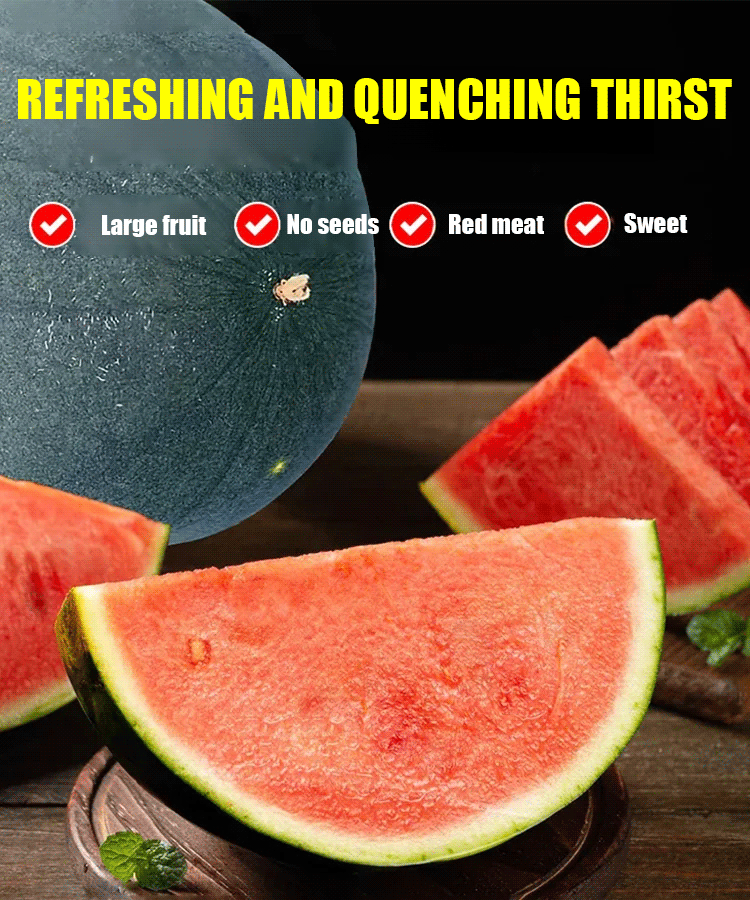 Black seedless watermelon seeds