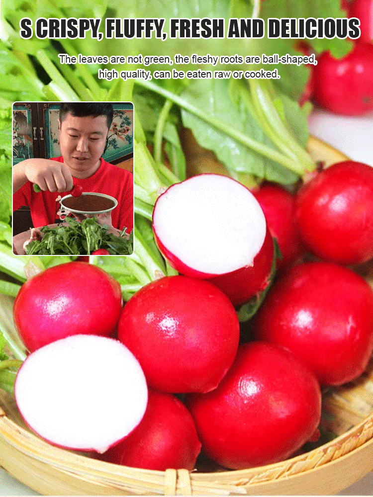 【Delicious】Cherry Radish