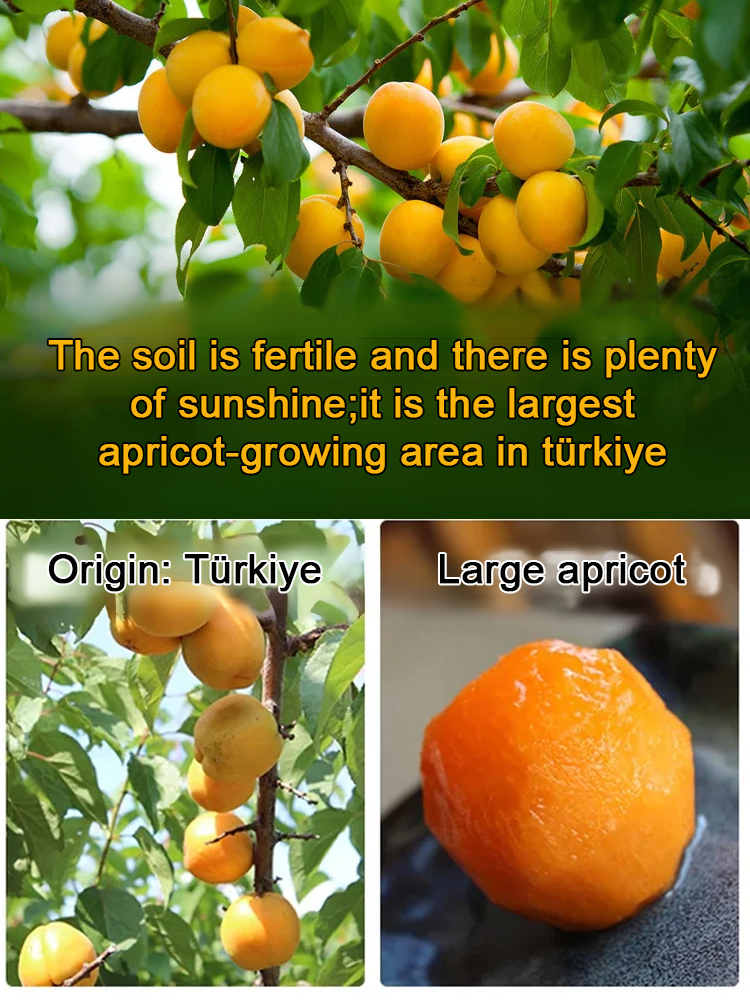 Sweet and sour sugar-free dried apricots