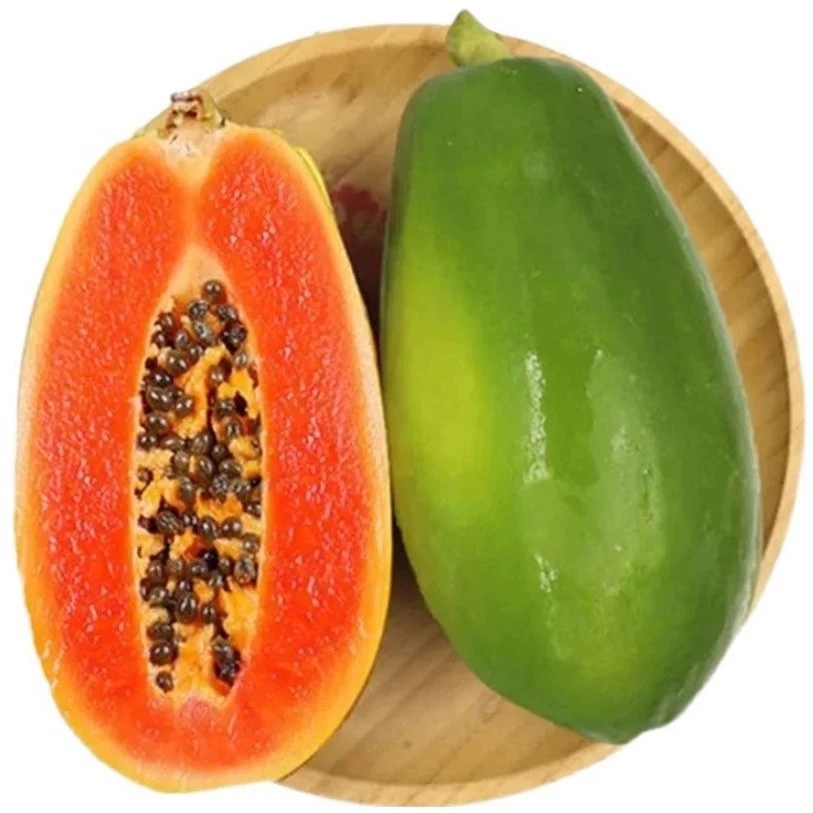 Potted red dwarf papaya seeds