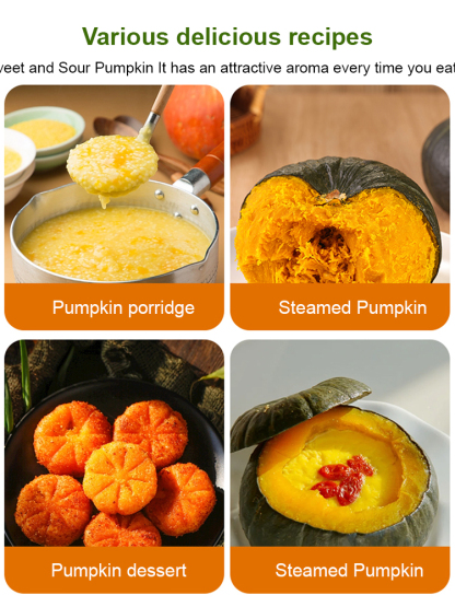 Black Pearl Meal Replacement Babe Pumpkin Seeds