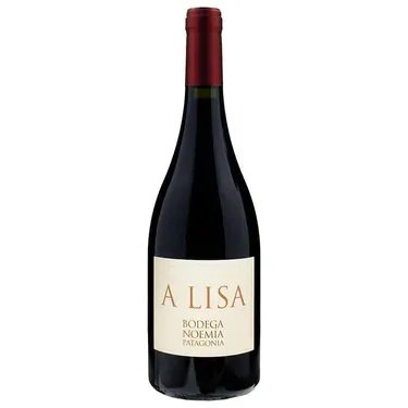 Bodega Noemia A Lisa 2023