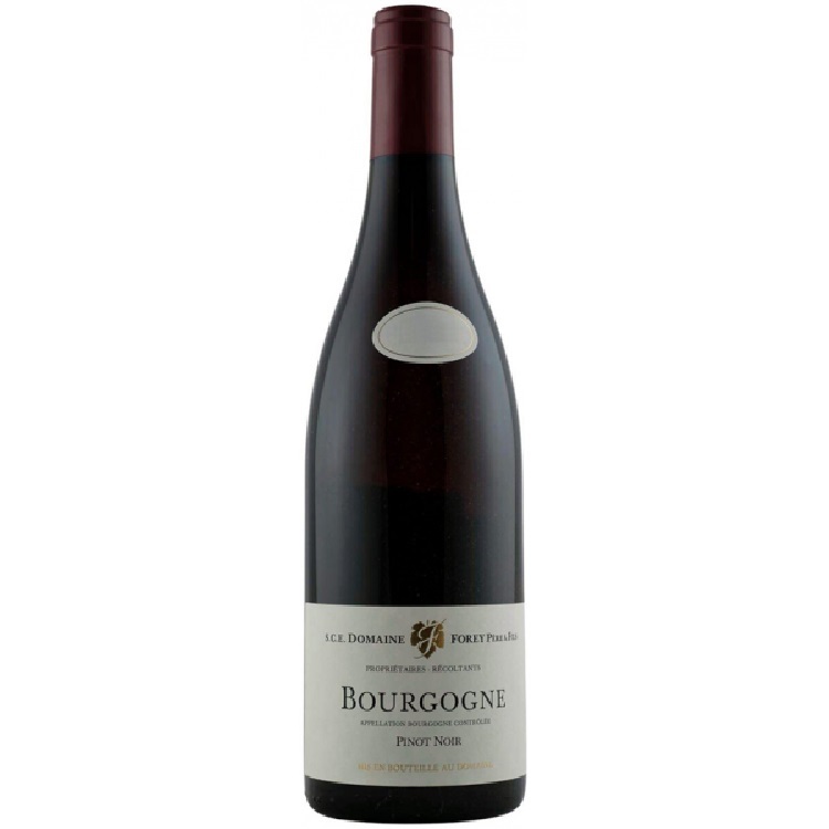 Domaine Forey Pere et Fils Bourgogne Pinot Noir 2019