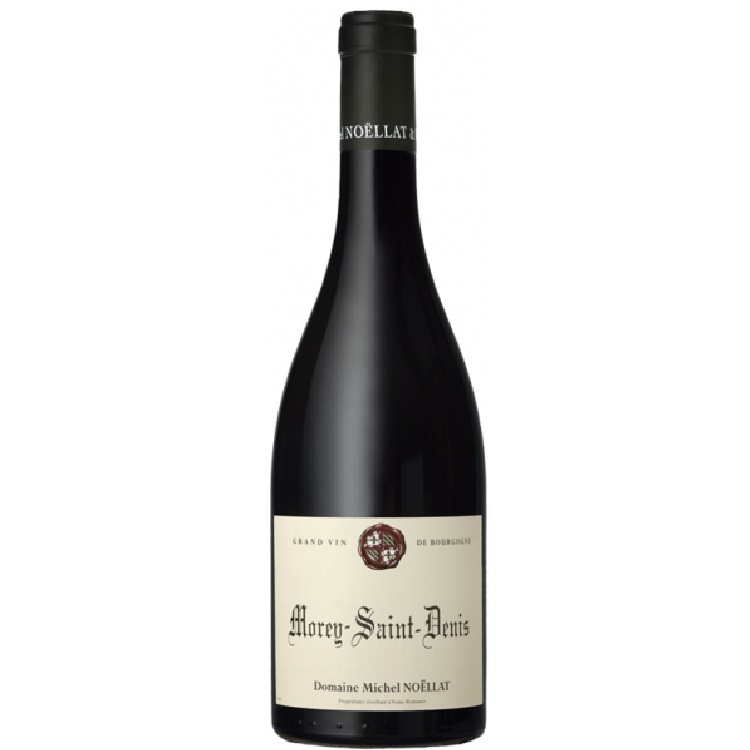Domaine Michel Noellat Morey-Saint-Denis 2020