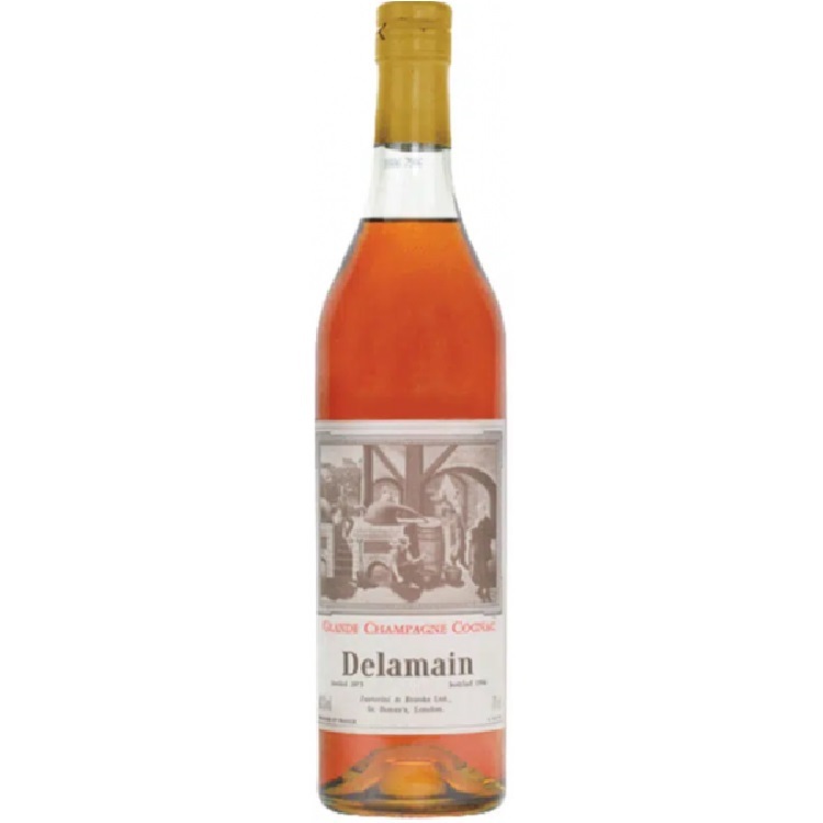 Delamain Vintage Cognac 1995 (700ml)
