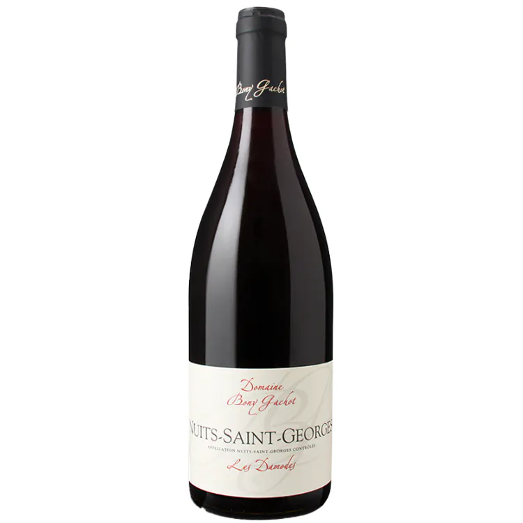 Domaine Bony Gachot Nuits-St-Georges Les Damodes 2022
