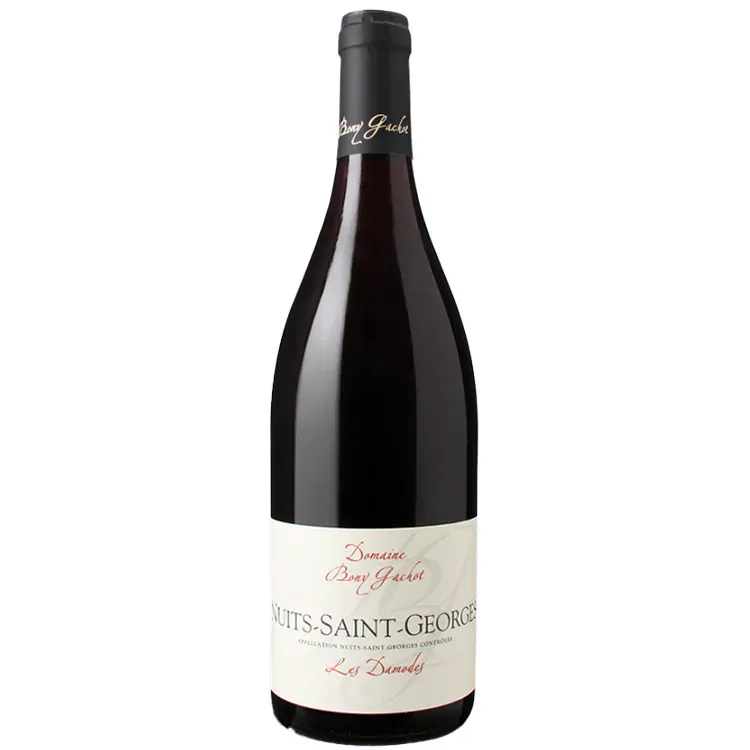 Domaine Bony Gachot Nuits-St-Georges Les Damodes 2022