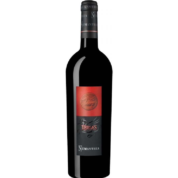 Bodega Numanthia Toro Termes 2013