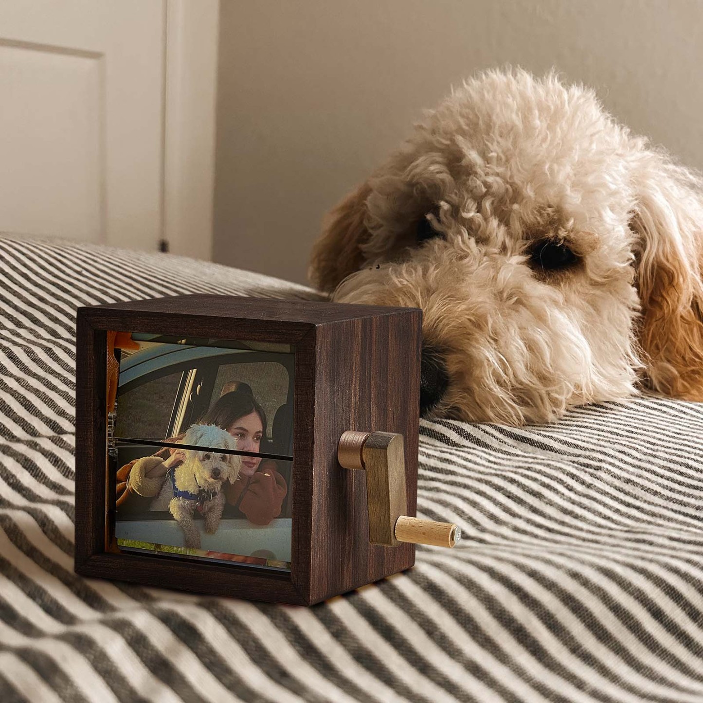 Custom Photo Flipbook Frame Animation Machine Mechanical Hand-cranked Photo Album with Light Unique Gifts for Pet Lovers