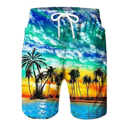 Men's Coconut Tree Board Shorts Swim Shorts Swim Trunks Mid Waist Hawaiian Boho Casual Daily Holiday Drawstring with Mesh lining Elastic Waist Designer Clothing Apparel