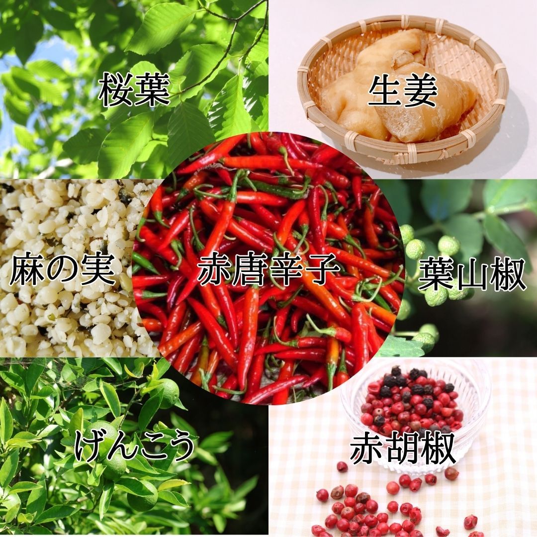 ［桜七味］桜葉入り七味唐辛子 - 料理を格上げする和スパイス｜10g